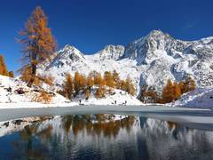 
      
      Protesters trek through Alpine villages to challenge WEF
      
      
