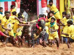 
      
      TN: Senior citizen succumbs to injuries sustained at Jallikattu
      
      