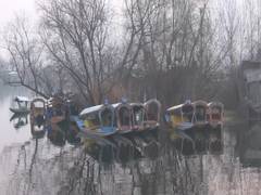 
      
      Cold wave grips Kashmir; tourists enjoy winter charm at Dal Lake
      
      