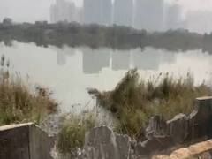 
      
      Car falls into a drain in Greater Noida, 27-year-old dies
      
      