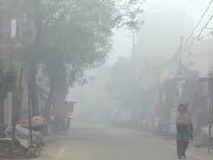 
      
      Cold wave grips North India; Delhi AQI remains severe
      
      