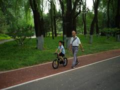 
      
      China records lowest birth rate in 2025 as population falls for f
      
      