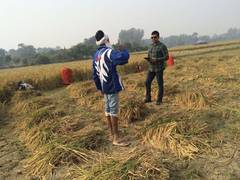 
      
      How Anuraj Rana’s ASAVI® is Resurrecting India’s ‘Stone-Ground’
      
      