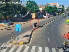 
      
      Gujarat's AI-driven initiative to tackle stray cattle problem
      
      