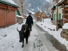 
      
      Wet spell likely over Western Himalayan region
      
      