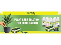 
      
      How Plantify Garden is Simplifying Home Gardening in India
      
      