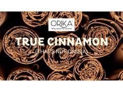 
      
      Orika’s True Cinnamon Stick Offers Complete Transparency
      
      