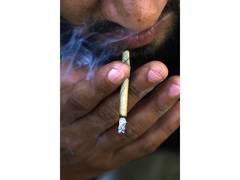 
      
      Odisha govt imposes statewide ban on tobacco, nicotine products
      
      