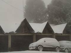 
      
      Himachal Pradesh: Fresh snowfall brings relief to farmers
      
      