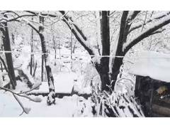 
      
      Banihal receives season's first heavy snowfall
      
      