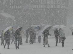 
      
      Tourists throng Shimla, as city receive season first snowfall
      
      