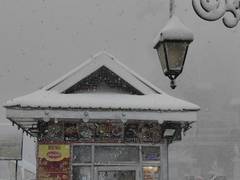 
      
      IMD reports widespread rain, snowfall across Himachal
      
      