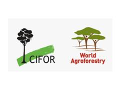 
      
      TREESCAPES 2026 by CIFOR-ICRAF and ICAR Marks 
      
      