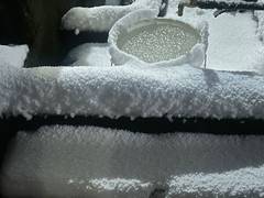 
      
      Snowfall, rain lash Himachal; over 560 roads blocked
      
      