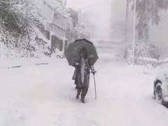 
      
      535 roads closed due to snowfall in Himachal
      
      