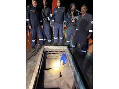 
      
      ICG station Frazerganj apprehends boat involved in smuggling
      
      