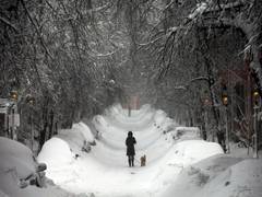 
      
      US storm leaves 850,000 power outages
      
      