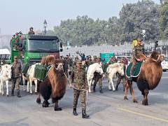 
      
      Indian Army to display deep bond with its service animals
      
      
