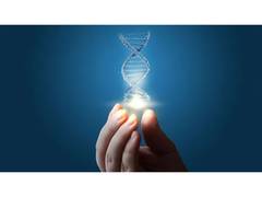 
      
      Russian scientists develop unique DNA sensor to assess...
      
      