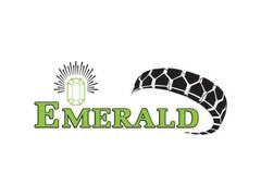 
      
      Emerald Tyre Plans To Acquire 65% Stake
      
      