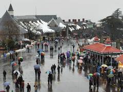 
      
      Rain lashes Shimla, tourists hope for fresh snowfall...
      
      