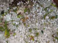 
      
      Western disturbance brings rain, snowfall to Western Himalayas
      
      