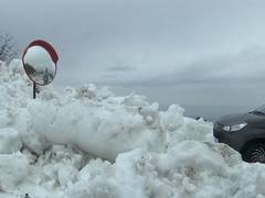 
      
      J-K: Heavy snowfall in Kotranka sub-division  into wonderland
      
      