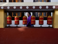 
      
      Senior Tibetan Buddhist Lama missing after detention in Qinghai, 
      
      
