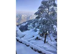 
      
      Heavy snowfall disrupts life across Himachal
      
      