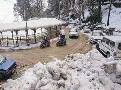 
      
      Dry weather persists in Himachal Pradesh; dense fog hits pockets
      
      