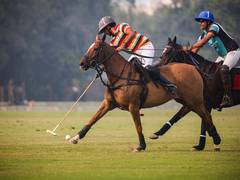 
      
      Jaipur Polo Team continue momentum in Kognivera Cup with win 
      
      
