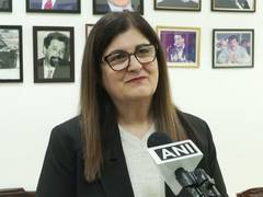 
      
      Palestine FM Shahin calls IAFMM important platform
      
      