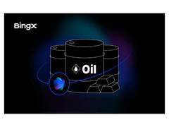 
      
      BingX AI Bingo integrates TradFi Suite
      
      