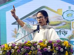 
      
      Mamata Banerjee flags 