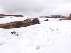 
      
      J&K: Tourists flocking to unexplored snowy landscapes
      
      