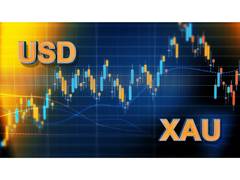 
      
      Mastering Gold Trading with an XAU USD Pip Calculator
      
      
