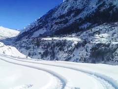 
      
      Avalanche strikes near Atal Tunnel North Portal
      
      