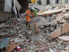 
      
      Earthquake of magnitude 6.0 strikes Myanmar
      
      
