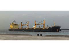 
      
      DPA Kandla gears up to handle 22 vessels in 72 hours
      
      