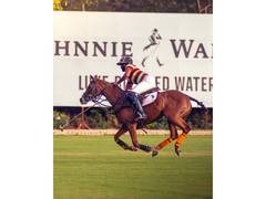 
      
      Jaipur registers commanding win over Nahargarh 
      
      