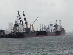 
      
      Global crude oil prices may hit USD 120/barrel in short term
      
      