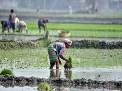 
      
      Centre identifies degraded forest land across states for restore
      
      