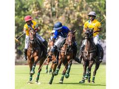 
      
      Carlos Gracida Memorial Cup: Jindal Panther face narrow 6-8 loss
      
      