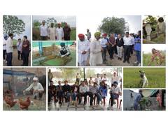 
      
      PwC India Foundation strengthens climate Resilient Livelihoods
      
      