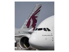 
      
      About 1,600 Indians travelled from Qatar to India, Embassy says
      
      