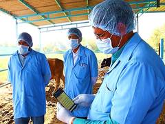 
      
      Gujarat sets sights on eradicating Foot and Mouth Disease
      
      