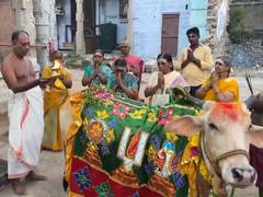 
      
      Devotees offers prayers in temples across South India on Ugadi
      
      