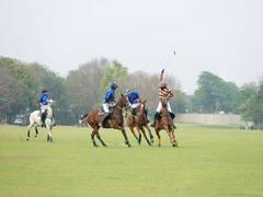 
      
      Jaipur Optiemus Achievers edge Jindal Panther 9-6
      
      