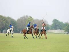 
      
      Rain stops Indian Open Polo game; Panther, Optiemus share points
      
      