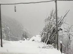 
      
      Uttarakhand: SEOC issues snowfall, avalanche alert
      
      